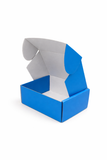 Arctic Sky Blue corrugated mailer box – Parul Packaging India